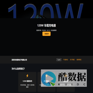 深圳市时雅电子有限公司 | 120W 车载充电器