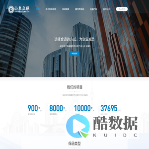 山东亚银综合管理系统