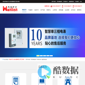 多用户电表,智能网络电表-泰安市万力仪表仪器