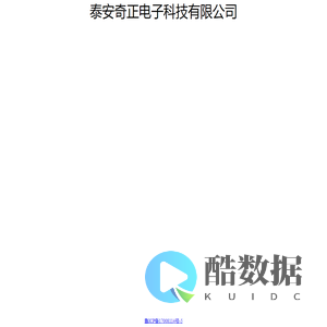 泰安奇正电子科技有限公司