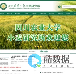 四川农业大学小麦研究所