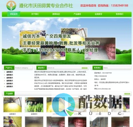 蒜黄批发|蒜黄销售|遵化市沃田蒜黄专业合作社|河北蒜黄基地|遵化蒜黄种植|朱山庄蒜黄基地