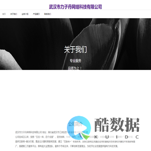 武汉市力子丹网络科技有限公司