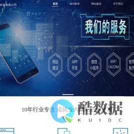 网页定制专家