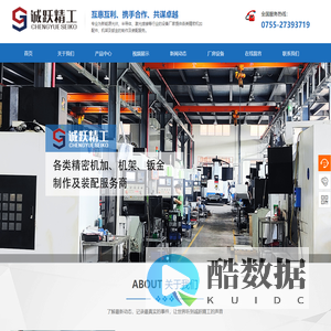 深圳市诚跃精工有限公司