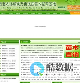 陕西侧柏苗,陕西元宝枫,陕西紫叶矮,陕西金叶榆,陕西樱花苗,陕西海棠苗