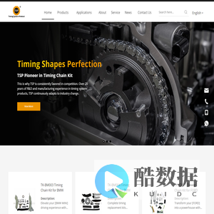 High Quality Timing Chain Kit Supply for Diverse Auto Brands - TSP