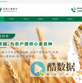 小麦种子