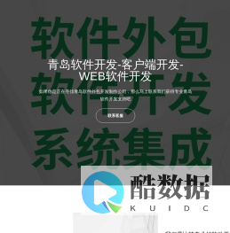 青岛软件外包公司