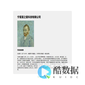 宁夏夏之星科技有限公司