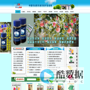 向死而生 - Stay Hungry Stay Foolish