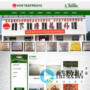 下塘龙虾|下塘龙虾省级稻渔综合种养示范基地