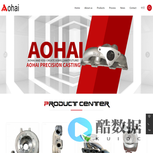 Qingdao Aohai Precision Casting Co., Ltd.  -Pump casing-Impeller