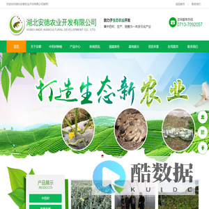 石斛-石斛价格-石斛厂家-中药材-湖北安德农业开发有限公司