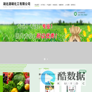 湖北源磷化工有限公司 官网