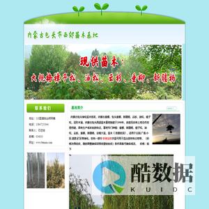 内蒙古包头西郊苗木基地----内蒙古包头绿化苗木,内蒙古垂柳,内蒙古新疆杨,内蒙古便宜树苗,云杉,油松,樟子松