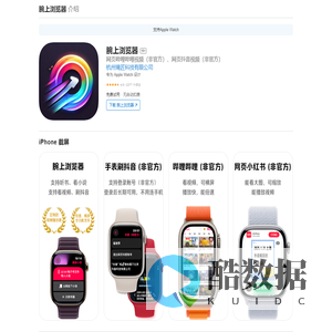 腕上浏览器介绍