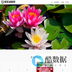 安徽鲜花培育网_首页