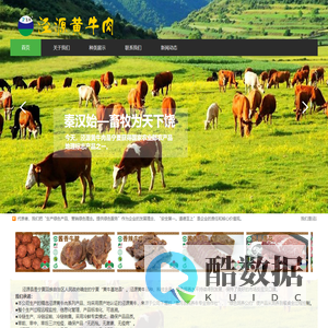 泾源黄牛肉-宁夏巴迪亚食品有限公司