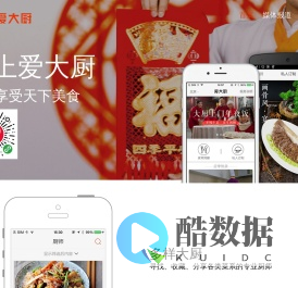 爱大厨-国内专业的厨师上门服务平台