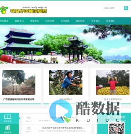 容县沙田柚信息网