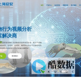 上海欣软信息科技有限公司