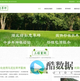 马尼拉草坪多少钱一方一平米_果岭草草坪价格★武汉绿如意★宜昌草皮基地还有孝感百慕大、黄石台湾青
