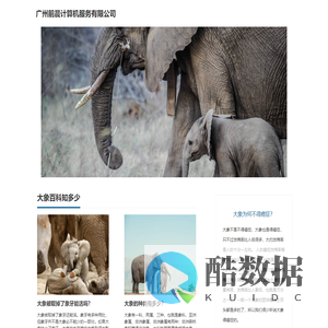 大象百科