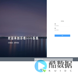 芬奇SSO系统