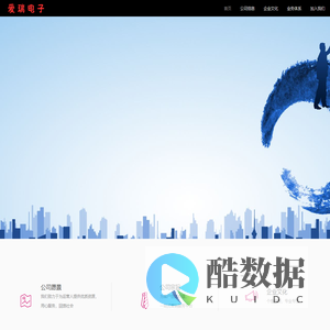 爱瑞电子
