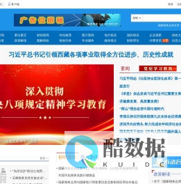 中国税网
