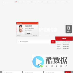 强大知识产权集团