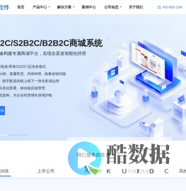 AI电商商城系统解决方案_AI数字新商业系统服务商_远丰软件