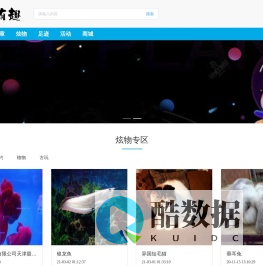 娱有趣
