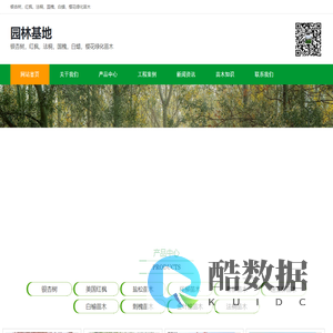 鑫诚园林-银杏价格,银杏树价格,银杏树,美国红枫价格,红枫价格