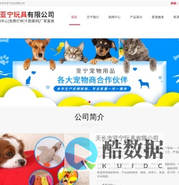 天长市亚宁玩具有限公司