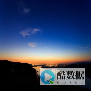 新基信息技术集团股份有限公司