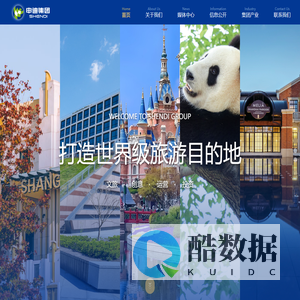 上海申迪（集团）有限公司