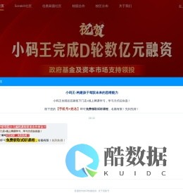 小码王