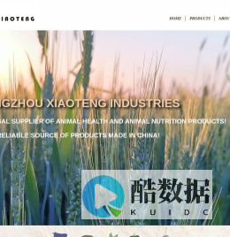 Hangzhou Xiaoteng Industries