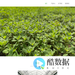 武汉润宇贡藜农业科技有限公司