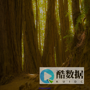 联趣科技 | Just Have Fun!