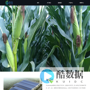 河北良屯种业 - 专注农作物种子研发与服务的综合性企业