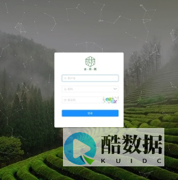 水月雨