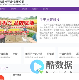 云南点评科技开发有限公司