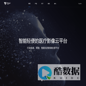 柏视医疗科技有限公司 - PVmed