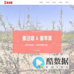 秦泾塬官方网站