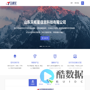 山东天枢星信息科技有限公司-官网
