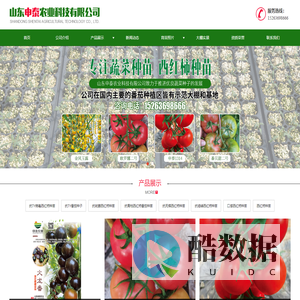 山西抗斑萎褪绿口感死棵病毒青枯西红柿种苗价格供应厂家-内蒙河北江苏抗ty番茄种苗批发培育基地-山东申泰农业科技有限公司