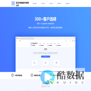 武汉市典威软件有限公司